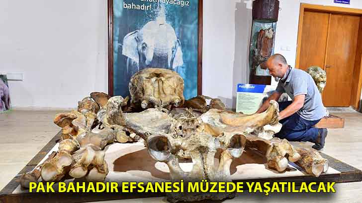 Pak Bahadır efsanesi müzede yaşatılacak