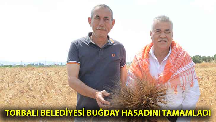 Torbalı Belediyesi buğday hasadını tamamladı