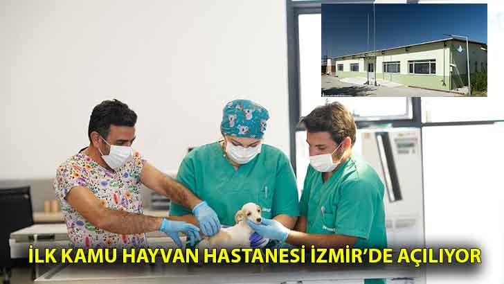 İlk kamu hayvan hastanesi İzmir’de açılıyor
