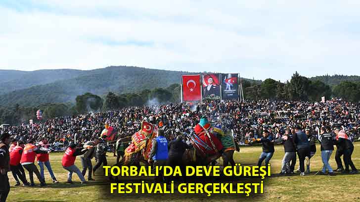 Torbalı’da Deve Güreşi Festivali gerçekleşti