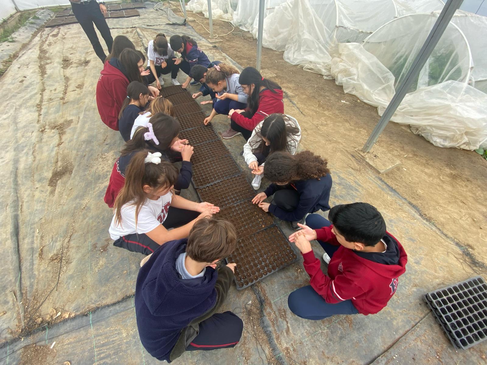 selçuk belediyesi “Tohumdan Sofraya, Sofradan Tohuma” Projesi ile Efes Tarlası Yaşam Köyü’nde çocuklar toprakla buluşuyor, üretimin tohum ile başlayan yolculuğuna tanık oluyor.
