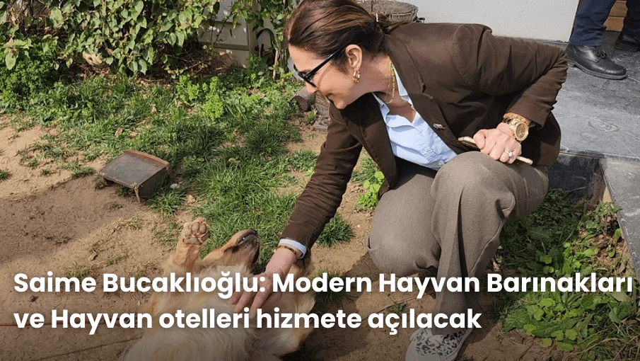 Saime Bucaklıoğlu: Modern Hayvan Barınakları ve Hayvan otelleri hizmete açılacak