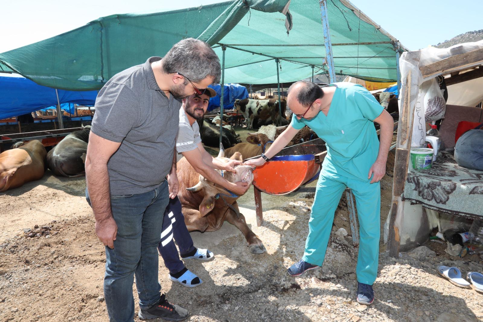 Bayraklı Belediyesi Kurban Bayramı’na hazır