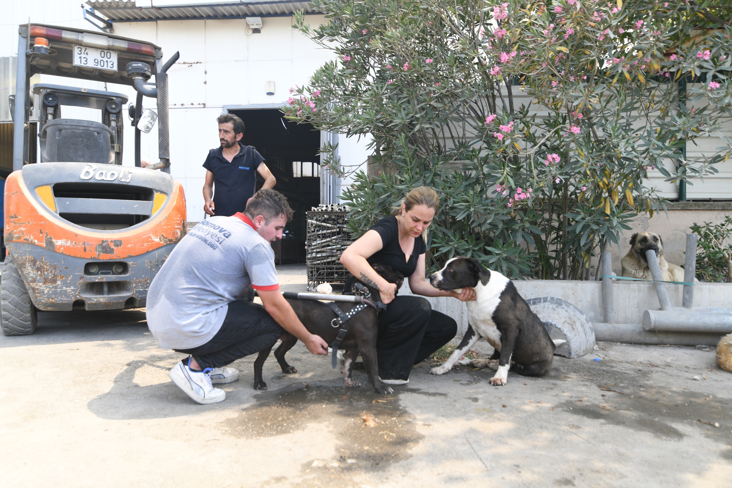 Bornova'da Can Dostları yangından kurtarıldı