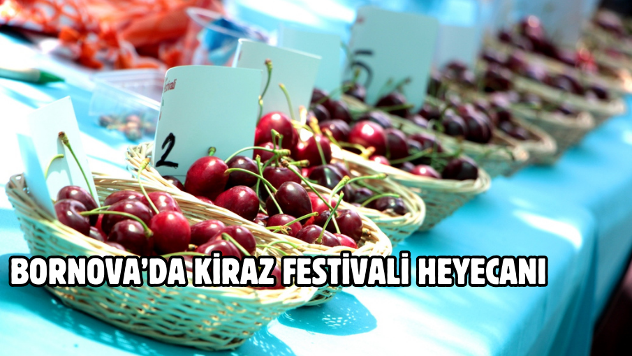 Bornova’da Kiraz Festivali heyecanı