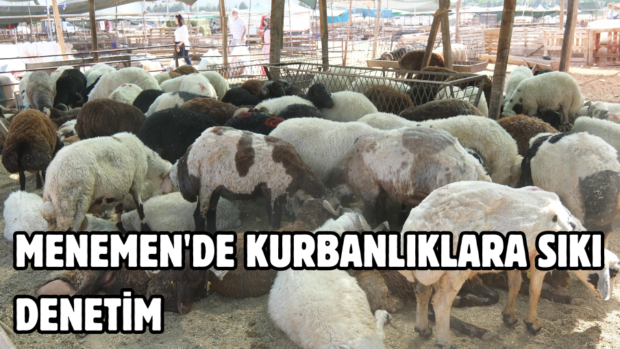 MENEMEN’DE KURBANLIKLARA SIKI DENETİM