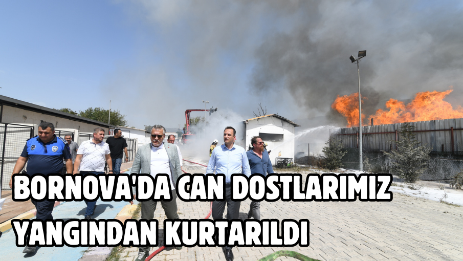 Bornova’da Can Dostları yangından kurtarıldı