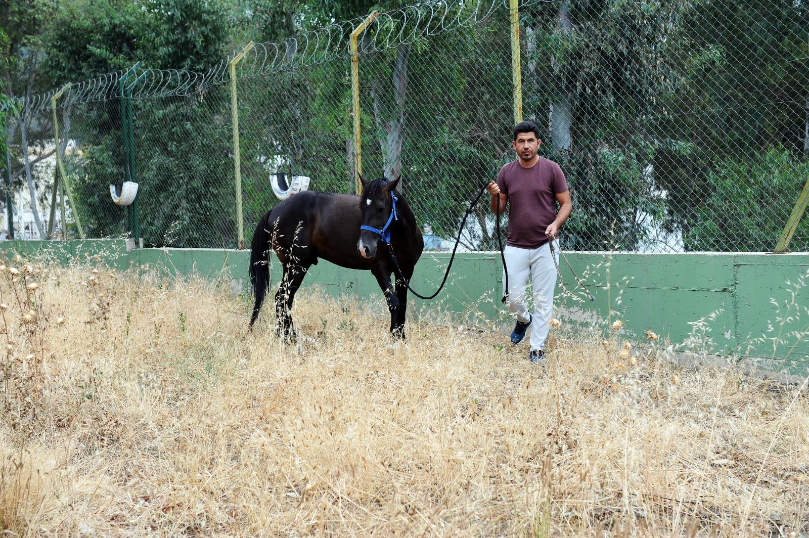 Karşıyaka’da başıboş at operasyonu