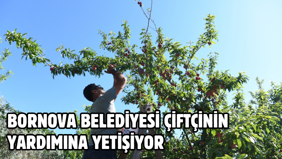 Bornova Belediyesi çiftçinin yardımına yetişiyor