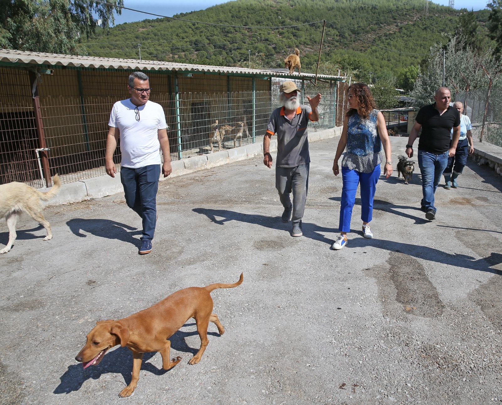 Başkan Ünsal: “Yaşam hakkı kutsaldır”