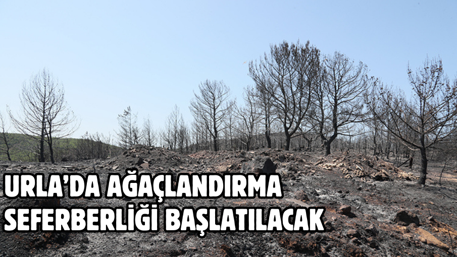 Urla’da ağaçlandırma  seferberliği başlatılacak