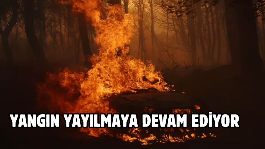 Yangın yayılmaya devam ediyor