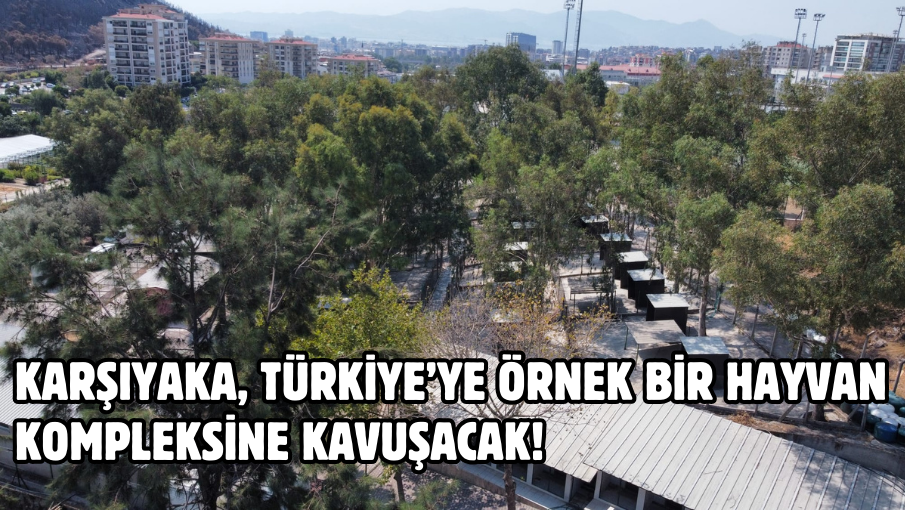 Karşıyaka, Türkiye’ye örnek bir hayvan kompleksine kavuşacak!