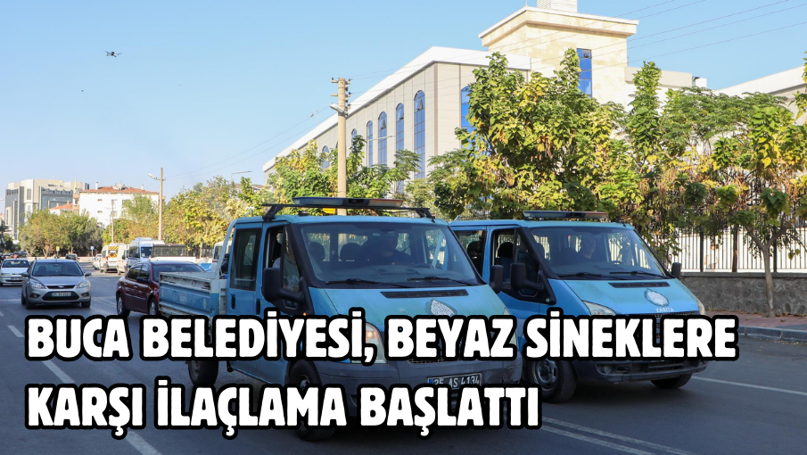 Buca Belediyesi, beyaz sineklere karşı ilaçlama başlattı