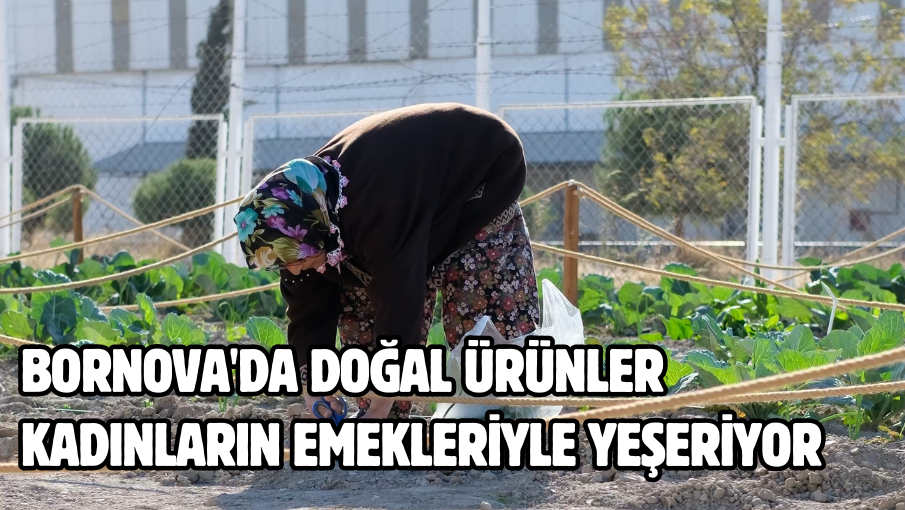 Bornova’da doğal ürünler kadınların emekleriyle yeşeriyor