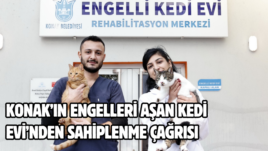 Konak’ın engelleri aşan Kedi Evi’nden sahiplenme çağrısı