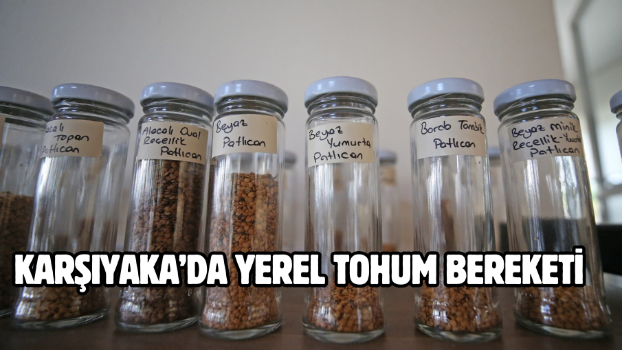 Karşıyaka’da yerel tohum bereketi