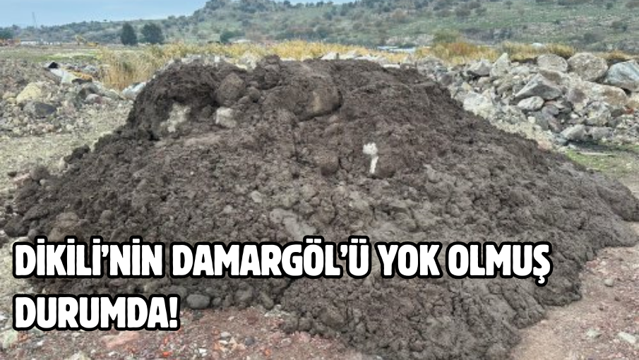 Dikili’nin Damargöl’ü yok olmuş durumda!