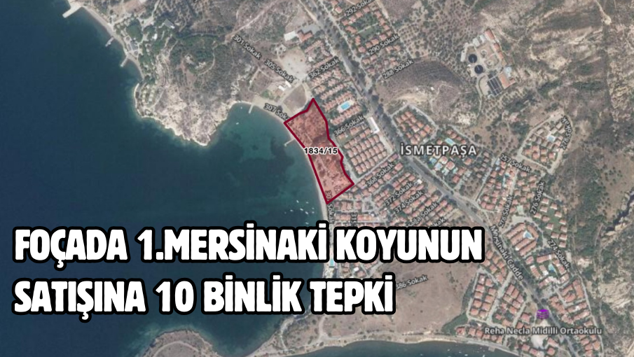 FOÇADA 1.MERSİNAKİ KOYUNUN SATIŞINA 10 BİNLİK TEPKİ