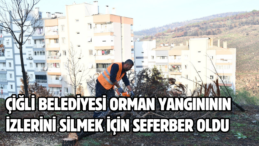 Çiğli Belediyesi Orman Yangınının İzlerini Silmek İçin Seferber Oldu