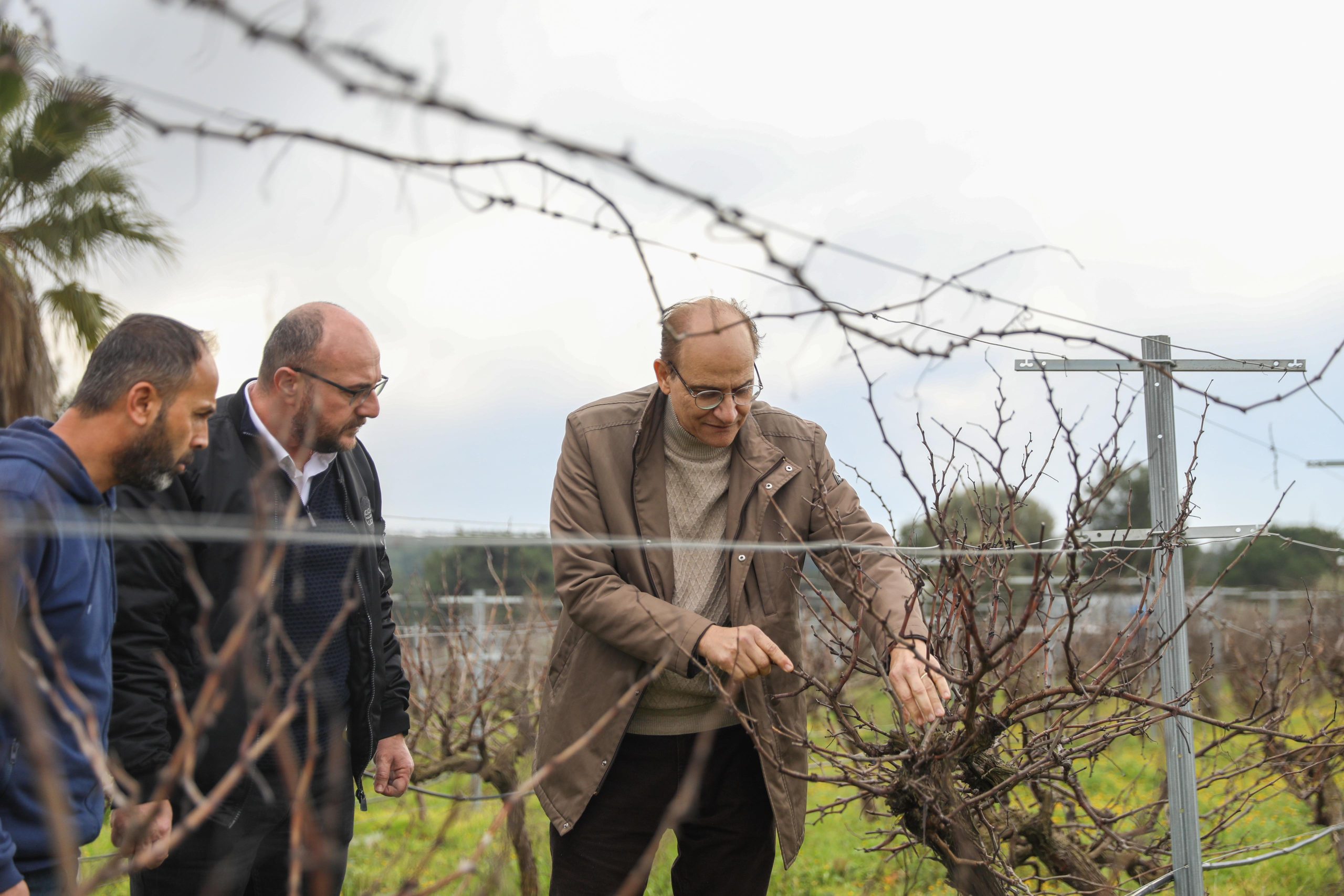 Buca'da hedef; agro turizm