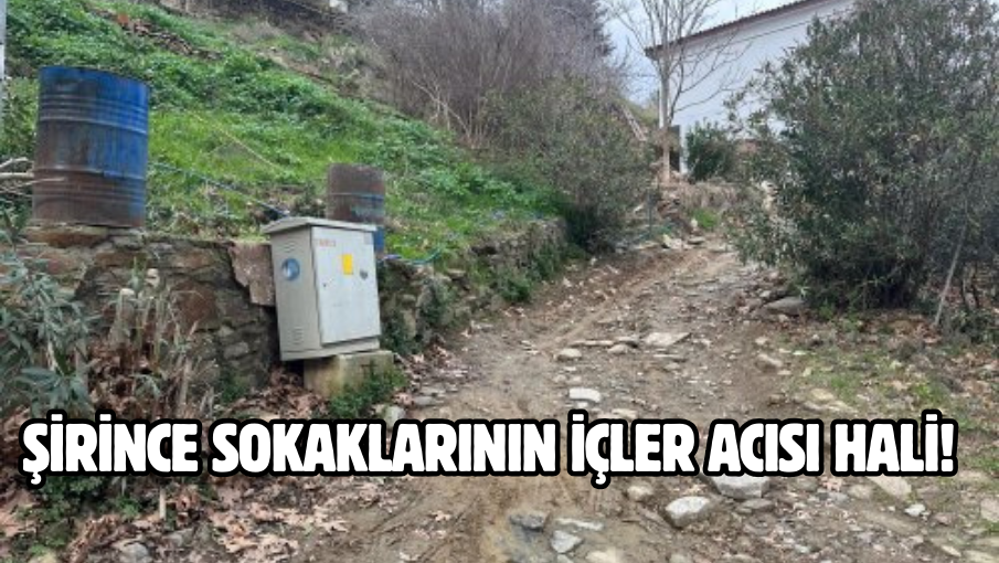 Şirince sokaklarının içler acısı hali!