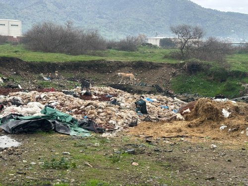 Bayındır kaderine terk edildi!