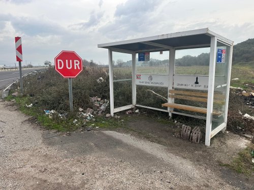 Başkan Çelik Bergama’nın doğası katlediliyor!