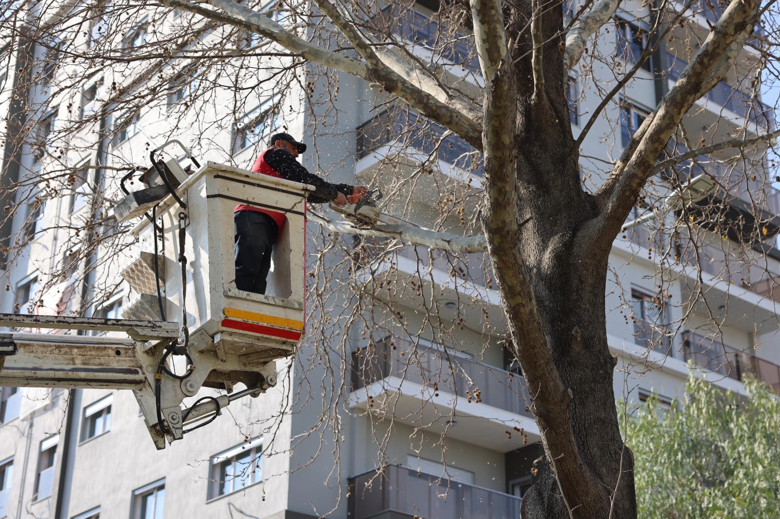 Bayraklı'da parklara kapsamlı bakım