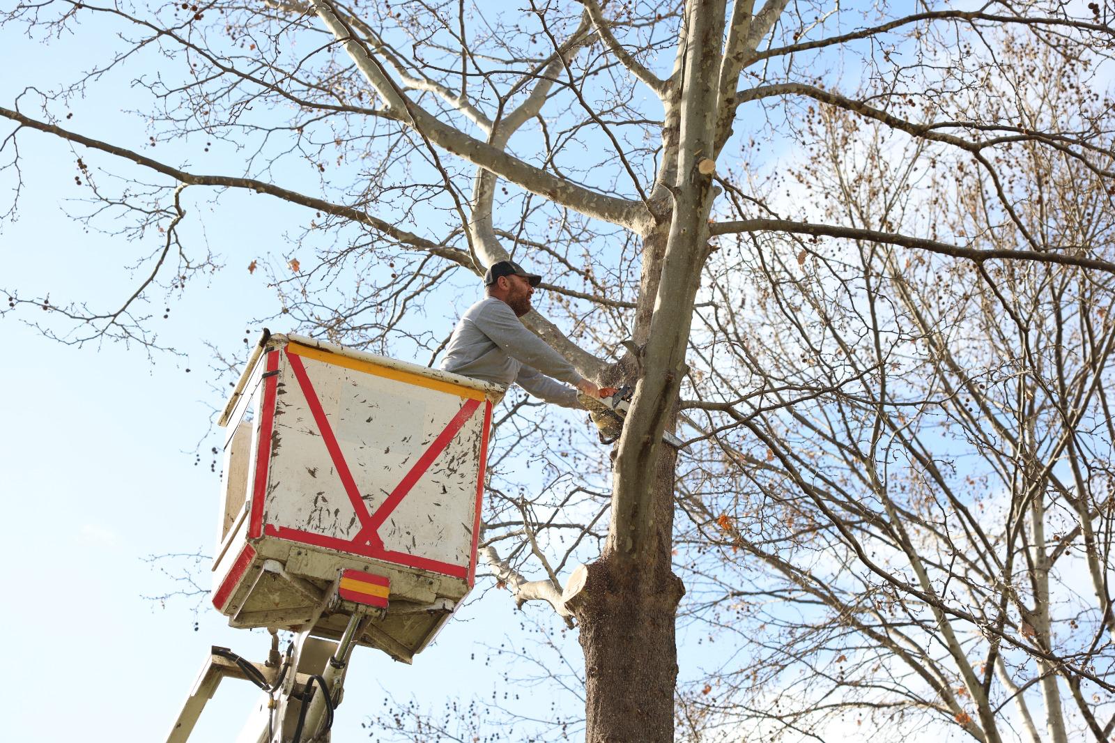 Bayraklı'da parklara kapsamlı bakım