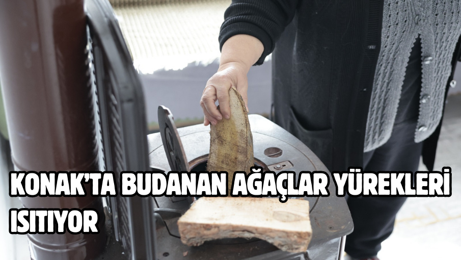 Konak’ta budanan ağaçlar yürekleri ısıtıyor