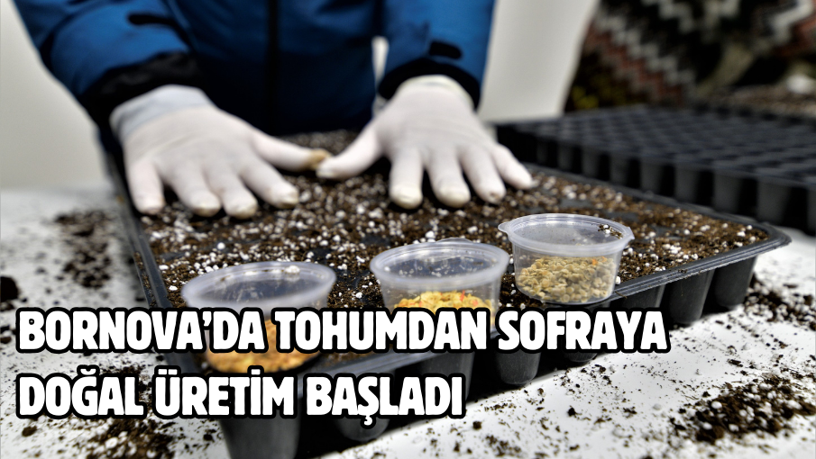 Bornova’da tohumdan sofraya doğal üretim başladı