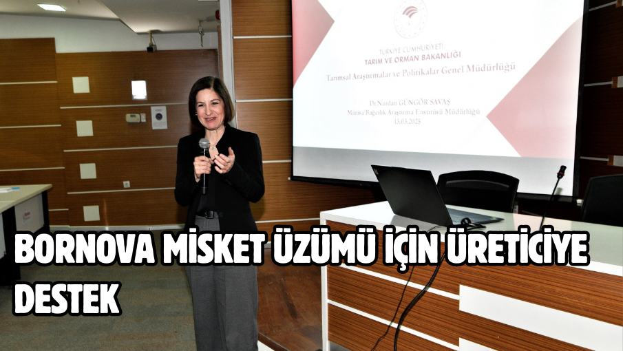 Bornova Misket Üzümü için üreticiye destek