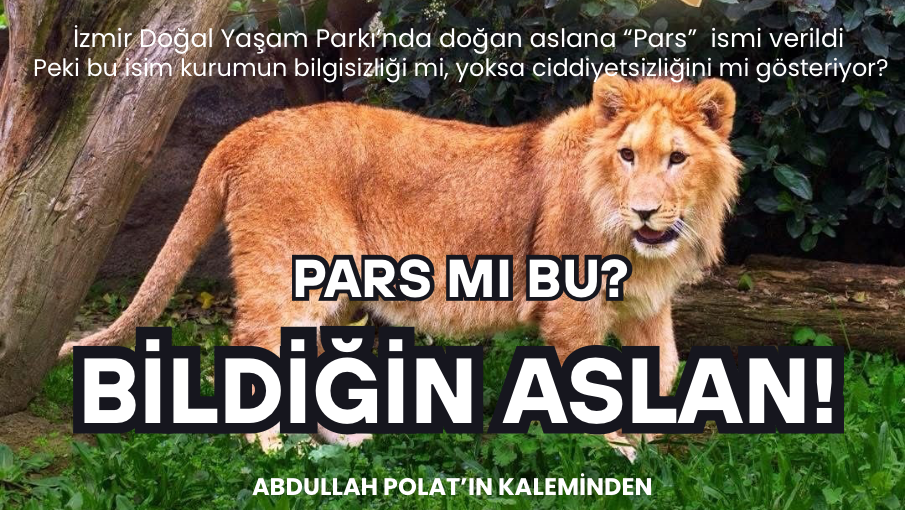 Pars mı Bu? Bu Bildiğin Aslan!