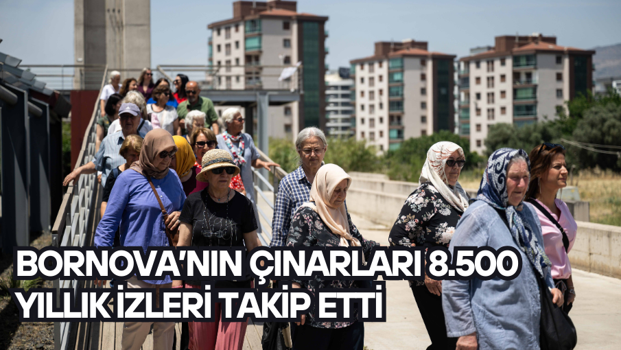 Bornova’nın çınarları 8.500 Yıllık izleri takip etti