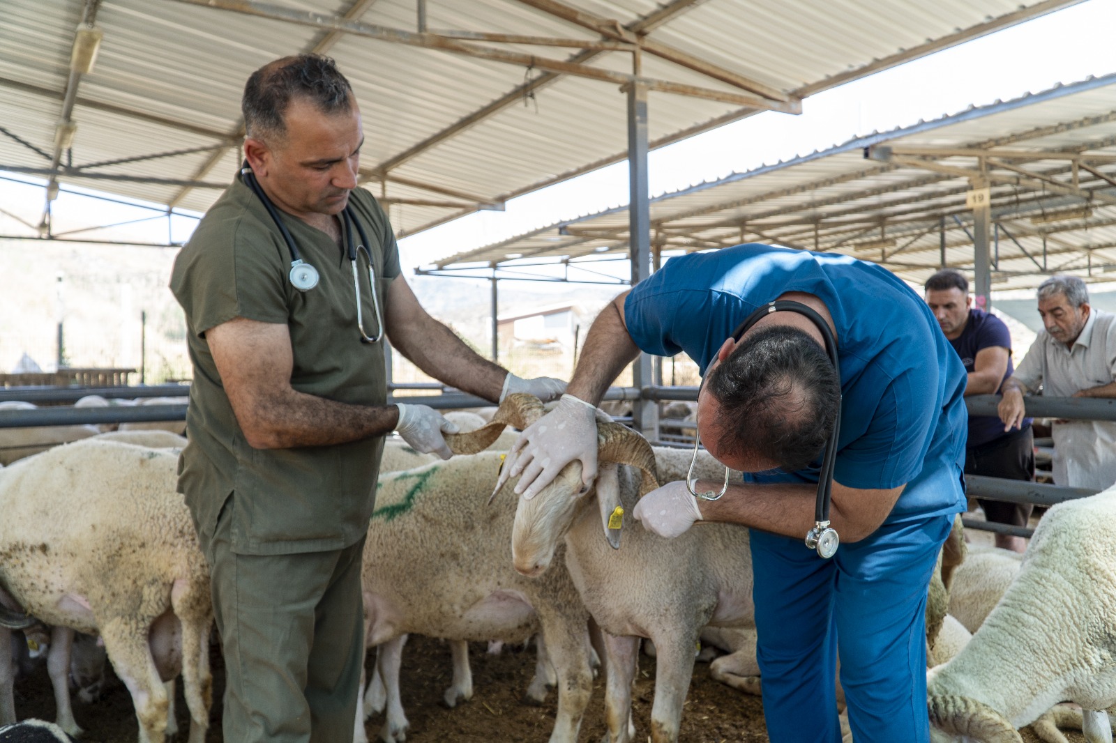 Karşıyaka, Kurban Bayramı’na hazır
