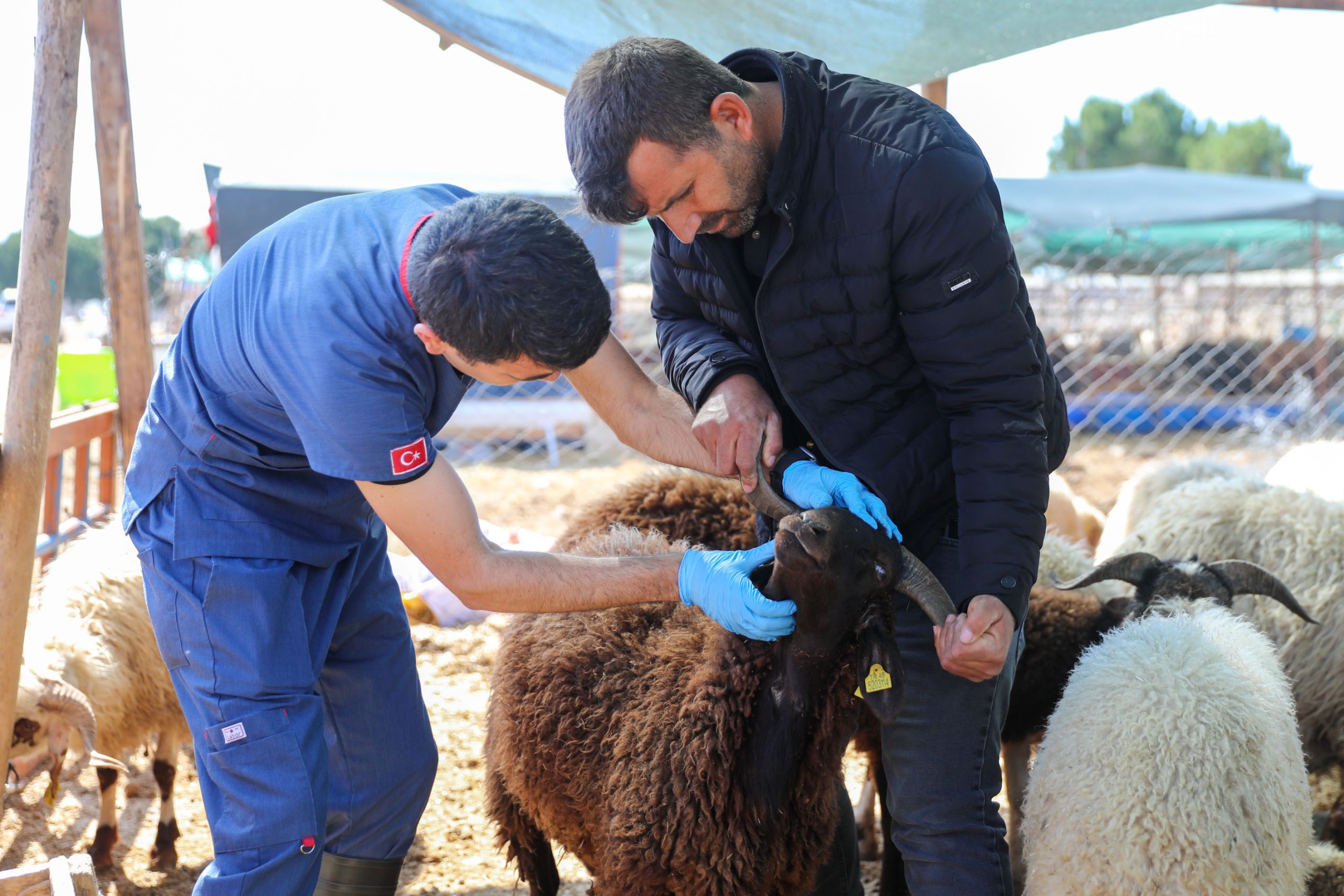 Buca’da Kurban Bayramı öncesi sıkı denetim