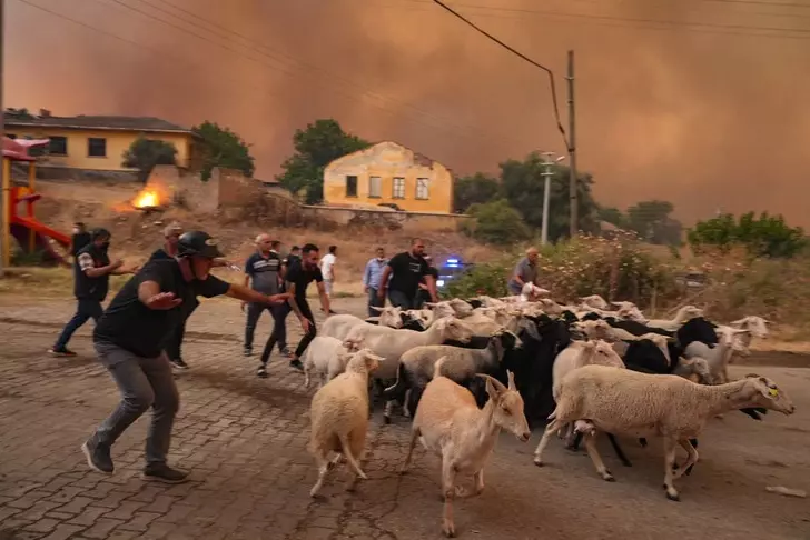 Ödemiş Belediye Başkanı Mustafa Turan "Lafın Bittiği Yerdeyiz" !