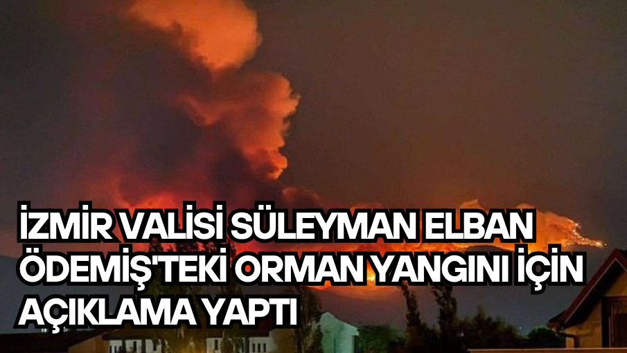 İzmir Valisi Süleyman Elban Ödemiş’teki Orman Yangını İçin Açıklama Yaptı