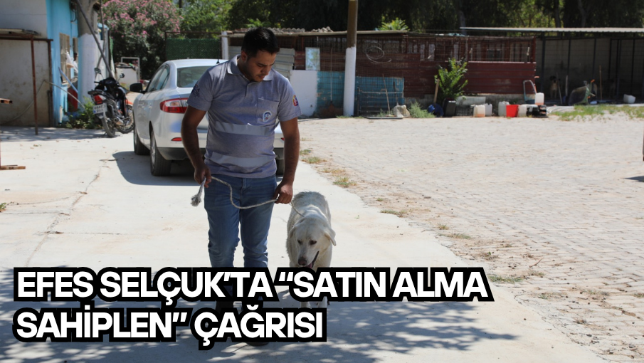 Efes Selçuk’ta “Satın Alma Sahiplen” Çağrısı