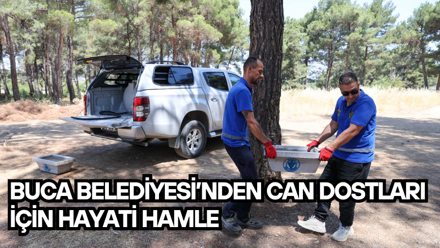 Buca Belediyesi’nden can dostları için hayati hamle