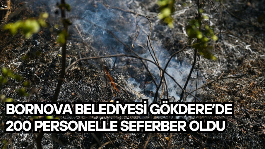 Bornova Belediyesi Gökdere’de 200 personelle seferber oldu