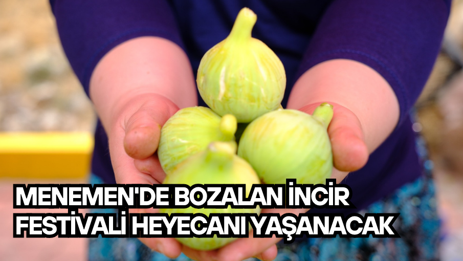 Menemen’de Bozalan İncir Festivali heyecanı yaşanacak