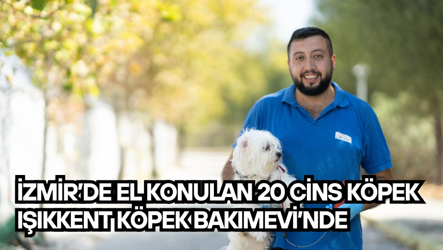 İzmir’de el konulan 20 cins köpek Işıkkent Köpek Bakımevi’nde