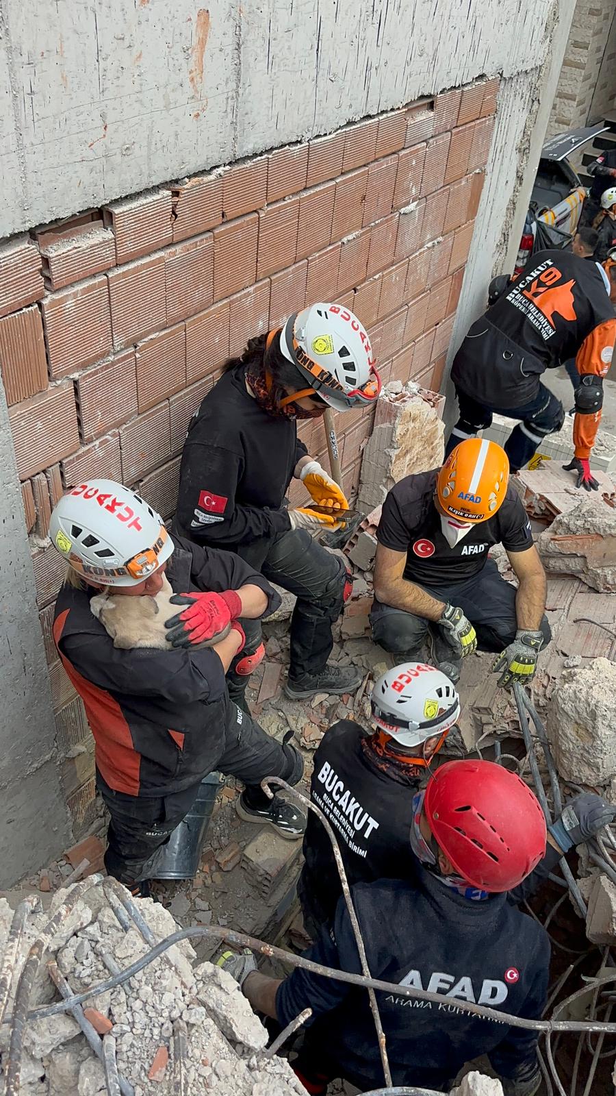 BUCAKUT'TAN YAVRU KÖPEK OPERASYONU BUCAKUT'TAN YAVRU KÖPEK OPERASYONU