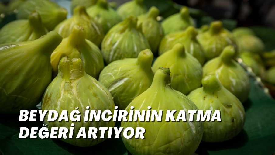 Beydağ incirinin katma değeri artıyor
