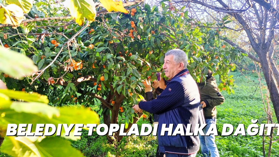 Belediye Topladı Halka Dağıttı