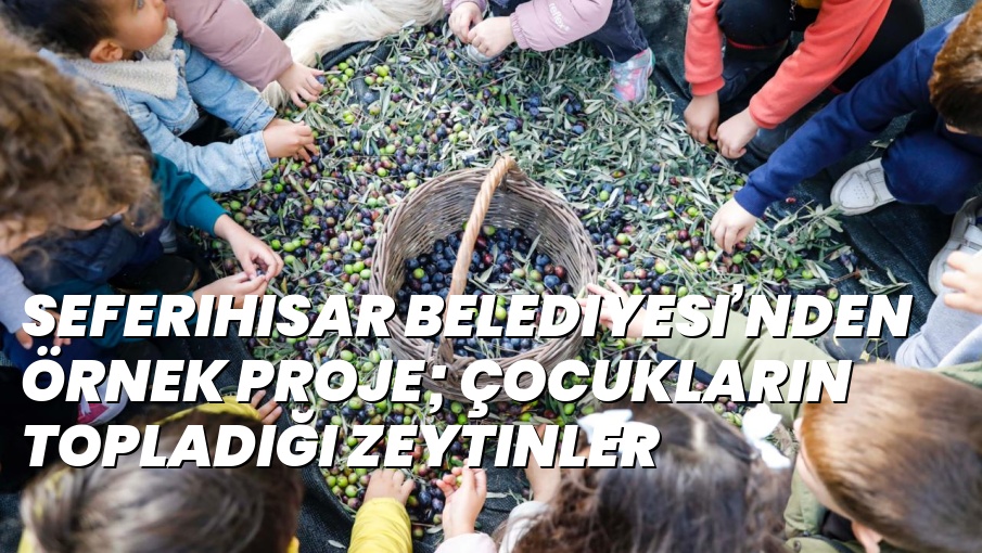 Seferihisar Belediyesi’nden örnek proje; Çocukların topladığı zeytinler sofralara bereket olacak