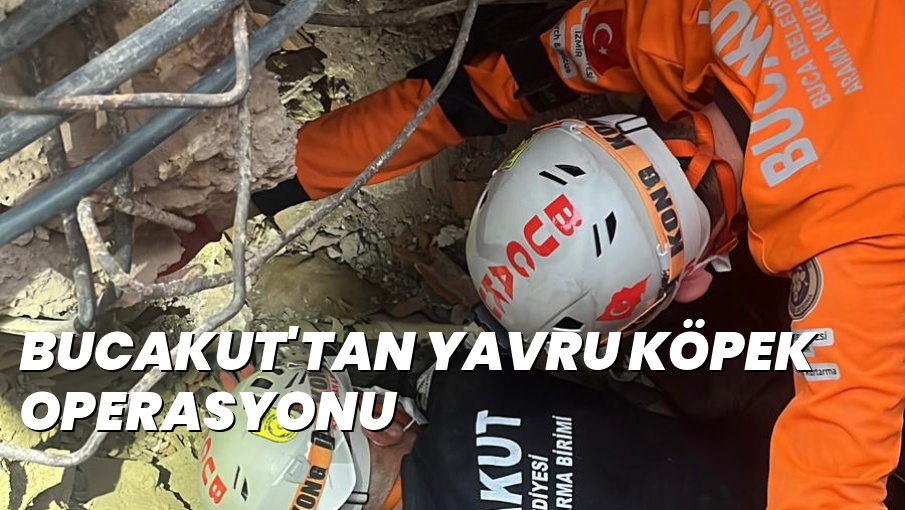 BUCAKUT’TAN YAVRU KÖPEK OPERASYONU