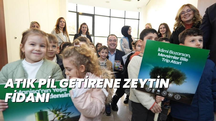 ATIK PİL GETİRENE ZEYTİN FİDANI